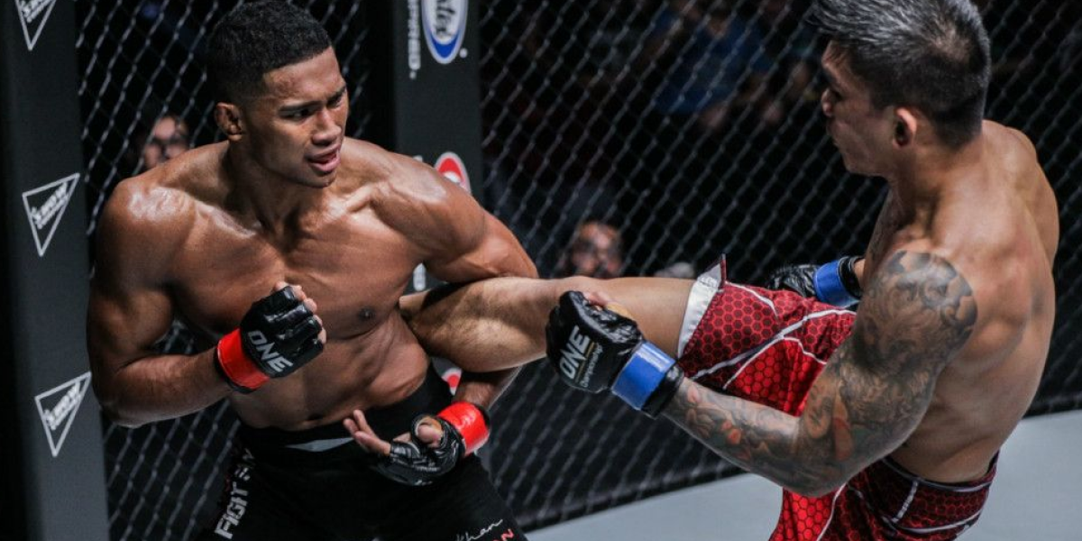 Mixed Martial Arts MMA